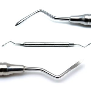 Dental Root Tip Picks